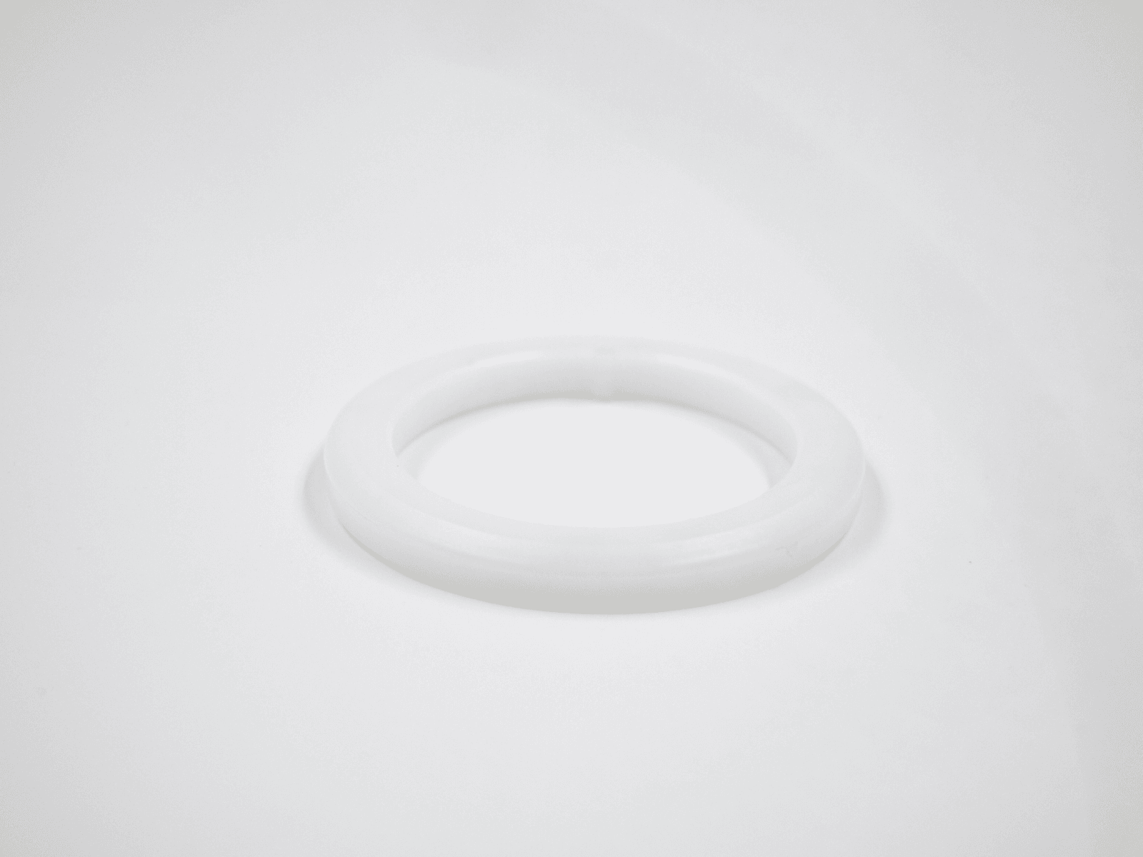 Pièces Détachées Rondelle pour robot de piscine RAPTOR 58481 Bestway 1