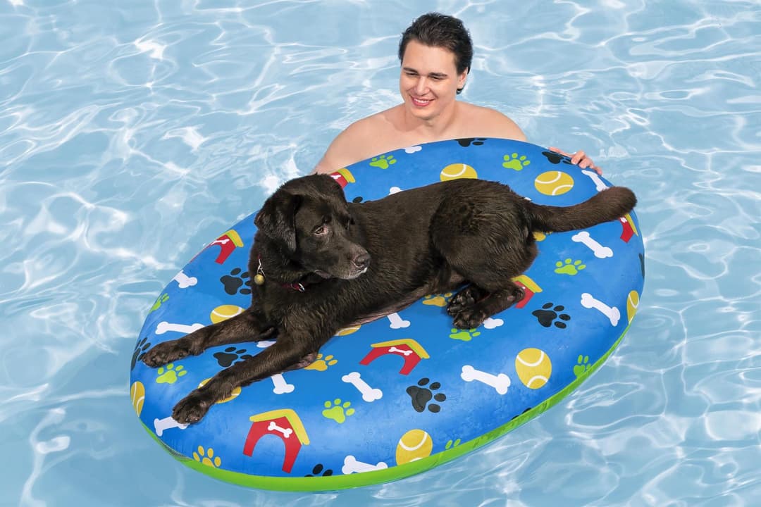 Jeux d'extérieur et trampoline Matelas de piscine pour animal de compagnie Fetchin' Fun Bestway 2