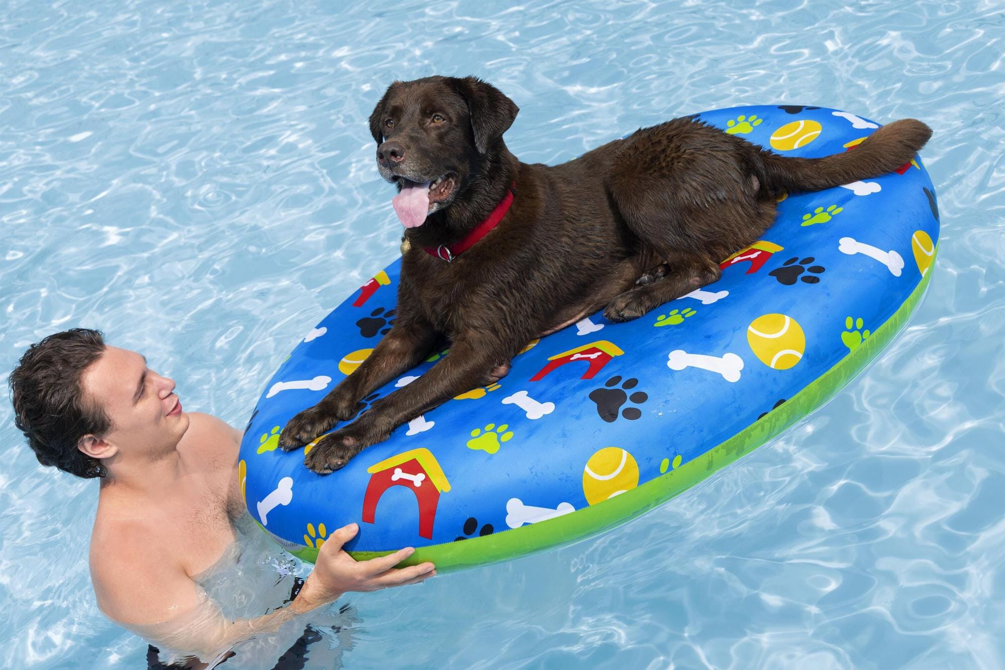 Jeux d'extérieur et trampoline Matelas de piscine pour animal de compagnie Fetchin' Fun Bestway 1