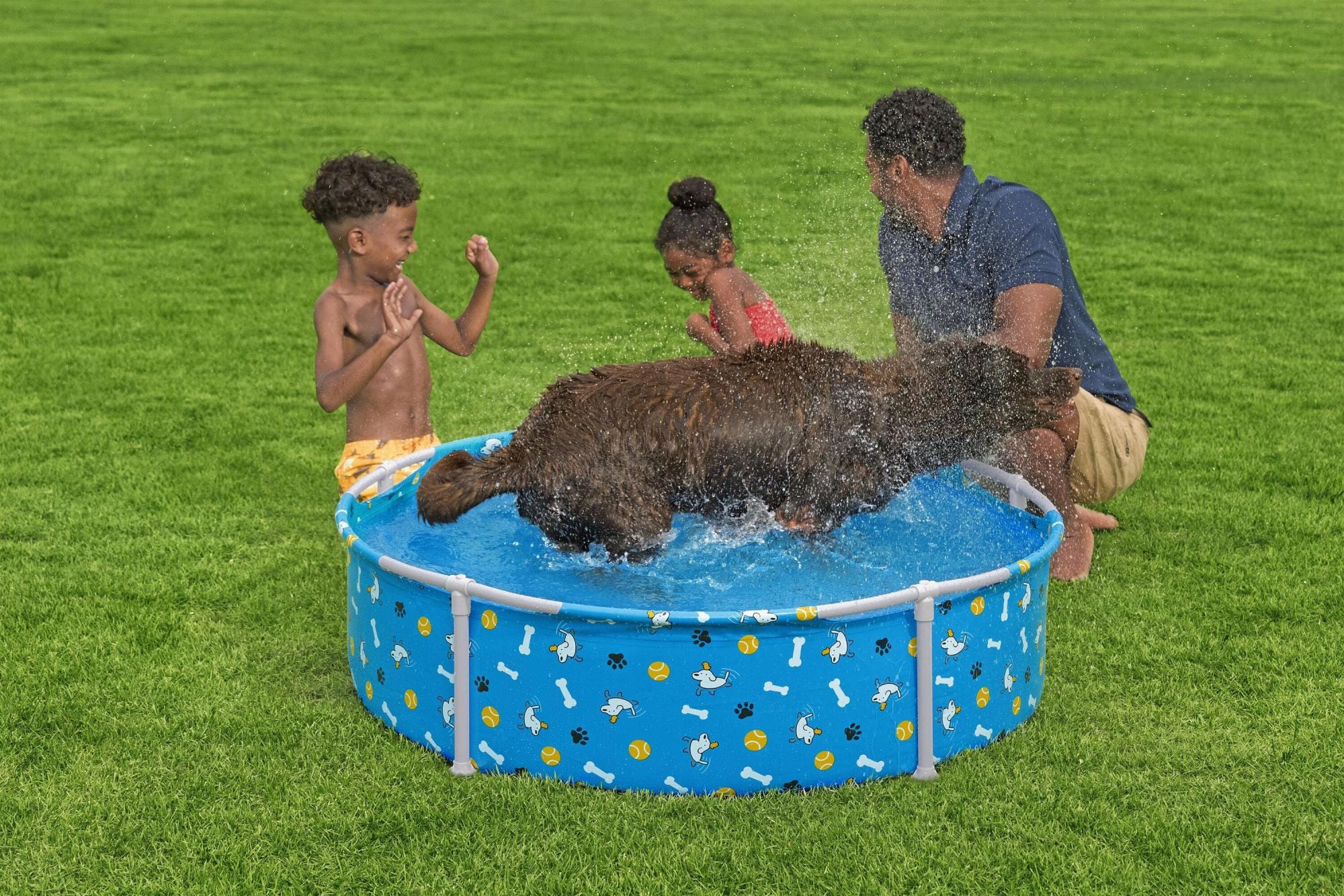 Jeux d'extérieur et trampoline Piscine pour chien Fetchin Fun Bestway 1