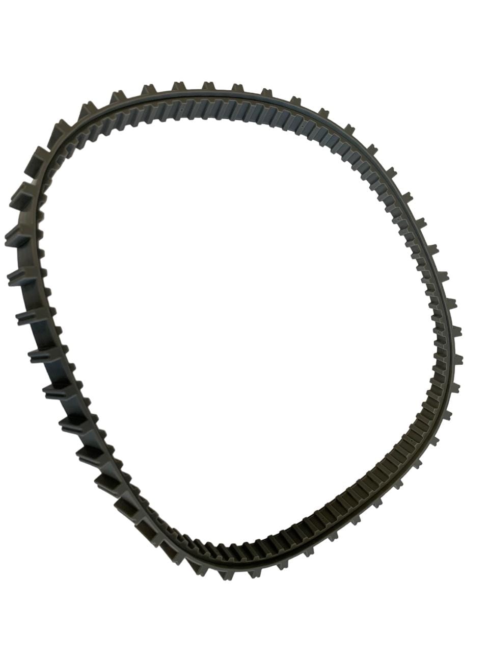 Pièces Détachées Grande courroie L - 100 crans 37 x 28 x 2.5cm RAPTOR 58481 - SAPHYR 10289  Bestway 1